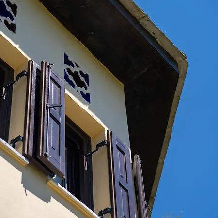 빌라 Alorama Luxury House In Pelion